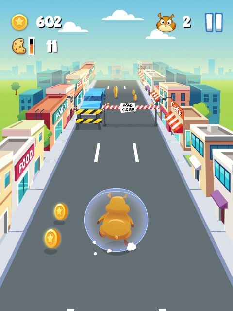 Riesenhamster Lauf